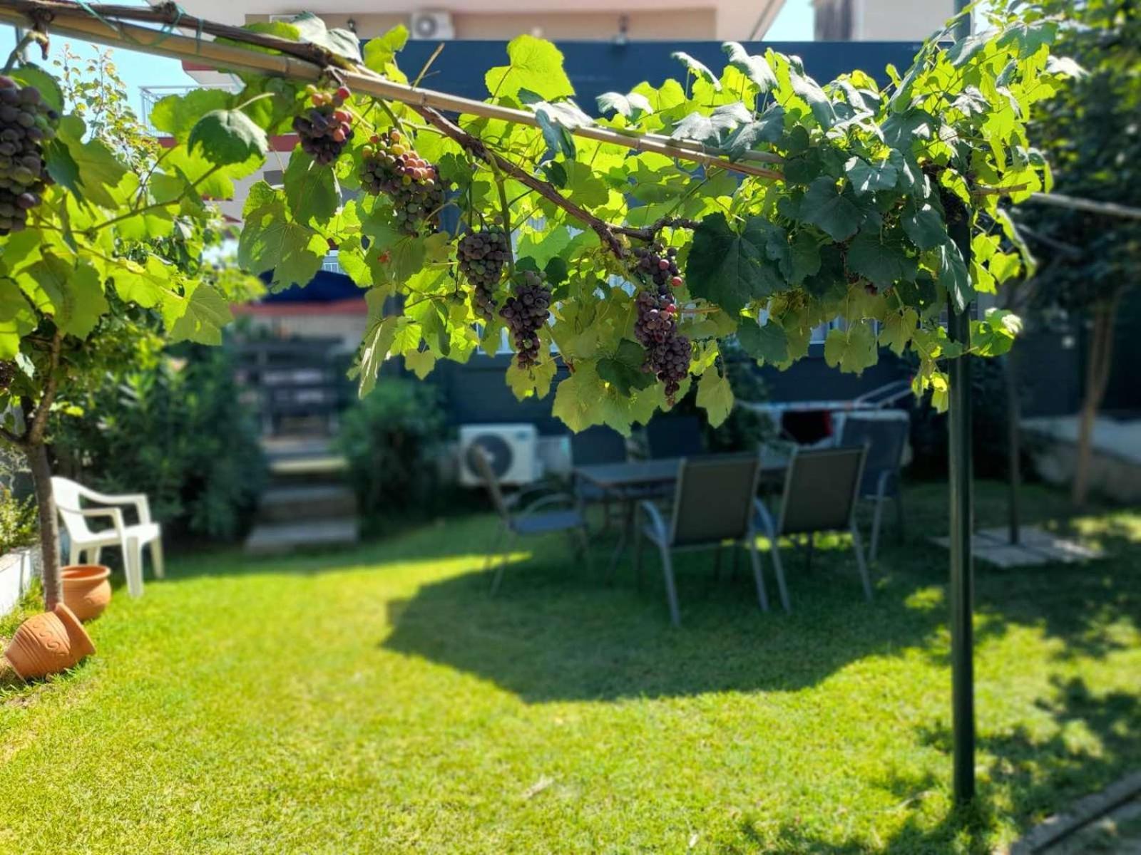 Xronis Apartments Néa Mihanióna Kültér fotó